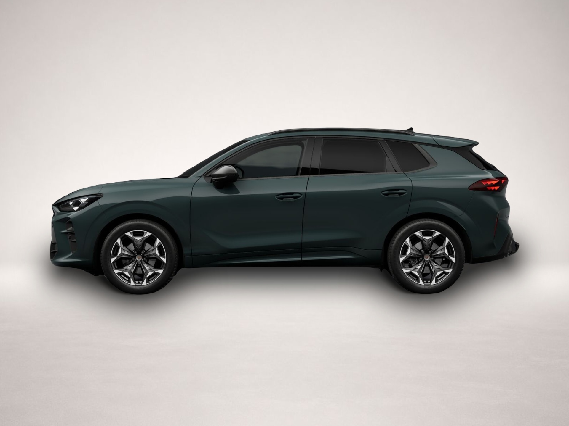 Cupra Terramar (, Benzin)