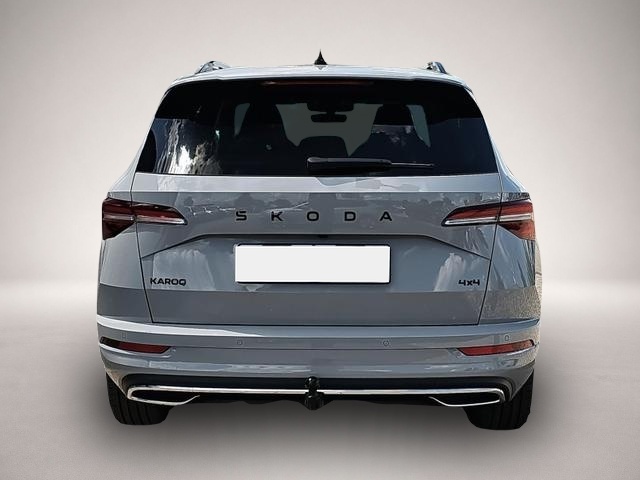 Skoda Karoq (07/2026, Benzin)