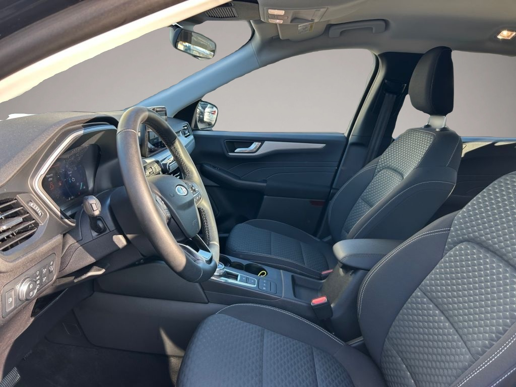 Ford Kuga (12/2022, )