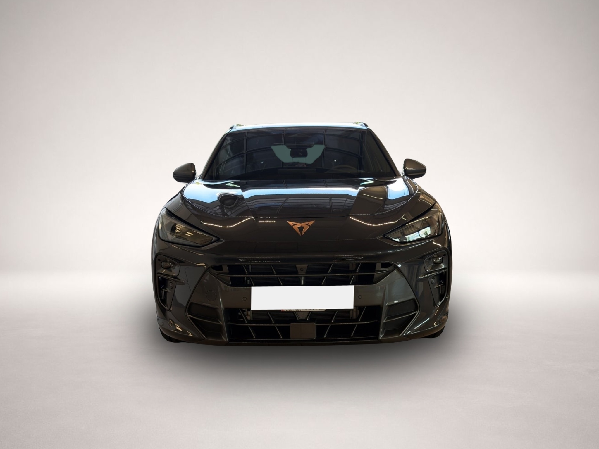 CUPRA Terramar, Bild 2 von 5