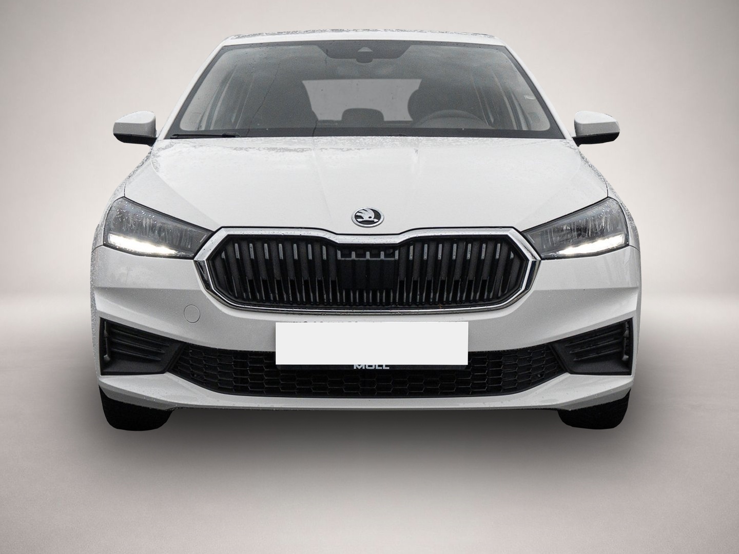 Skoda Fabia (01/2023, Benzin)