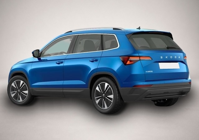 Skoda Karoq (07/2026, Diesel)