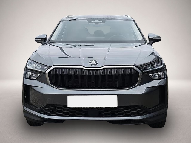 Skoda Kodiaq (02/2026, Diesel)