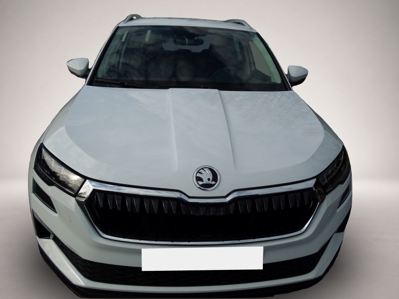 Skoda Karoq (11/2025, Diesel)