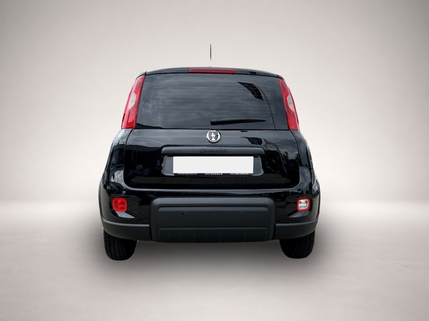 Fiat Panda (02/2025, Benzin)