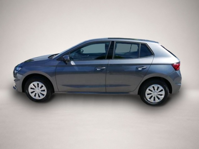 Skoda Fabia (06/2026, Benzin)