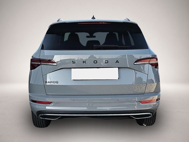 Skoda Karoq (04/2026, Benzin)