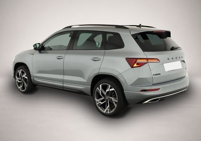 Skoda Karoq (04/2026, Benzin)