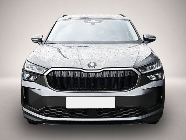 Skoda Kodiaq (01/2026, Benzin)