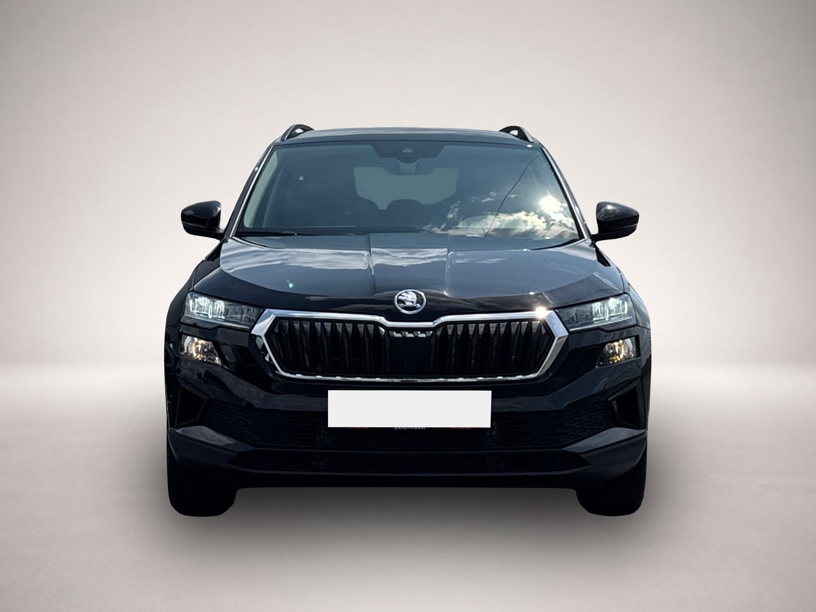 Skoda Other (07/2025, Benzin)