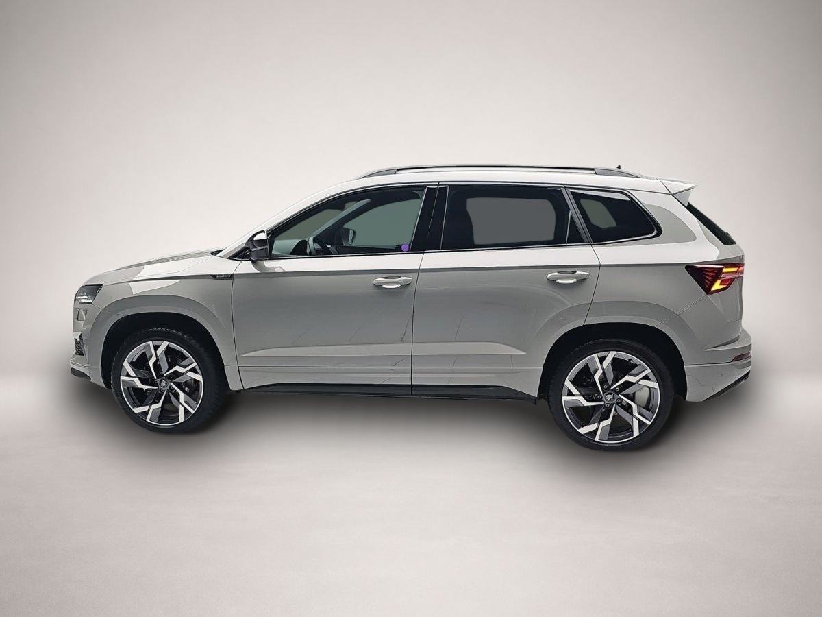 Skoda Karoq, image 4 of 4