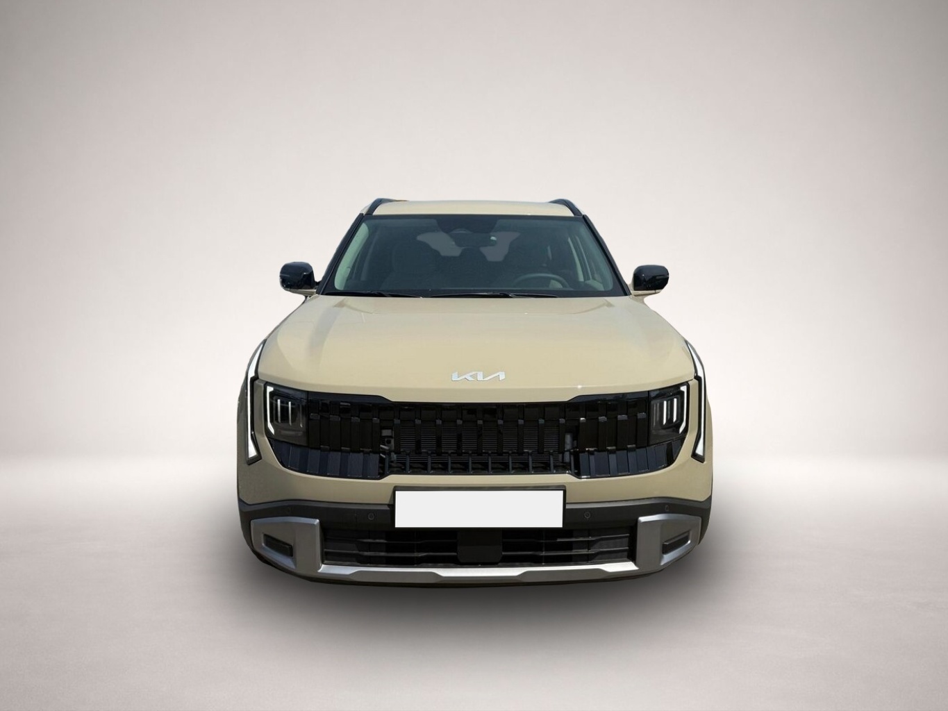 KIA Other (06/2026, Benzin)