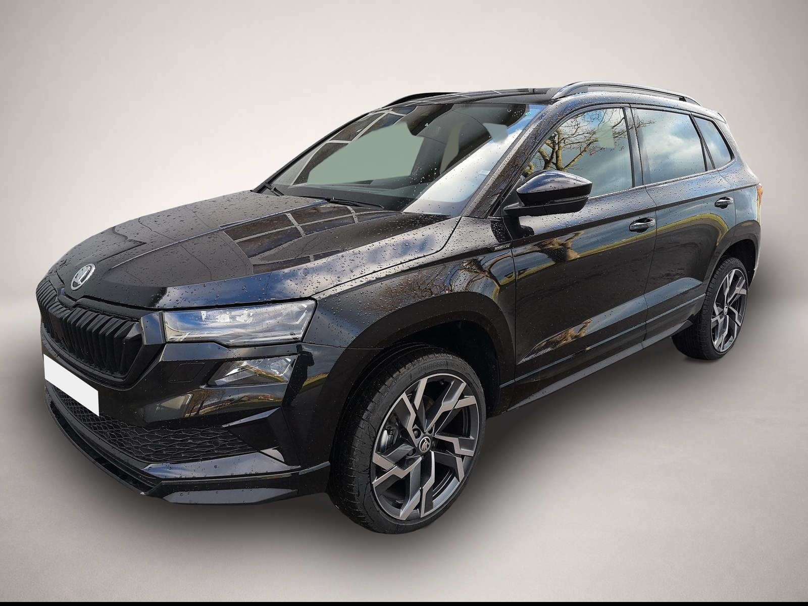 Skoda Karoq (06/2026, Diesel)