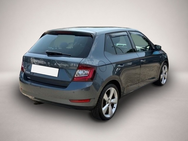 Skoda Fabia (02/2021, Benzin)