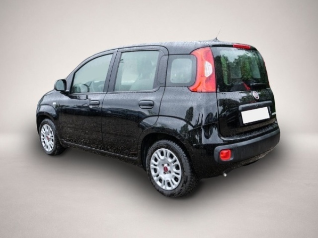 Fiat Panda (08/2021, Benzin)