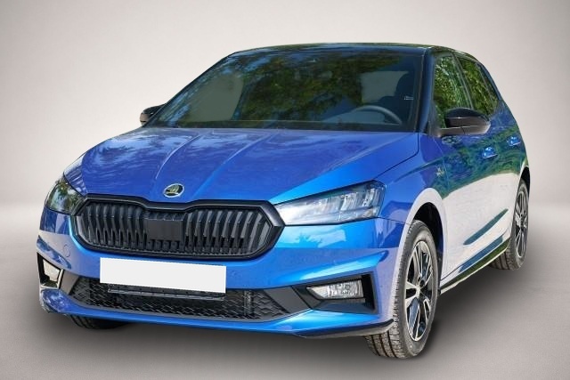Skoda Fabia (, Benzin)