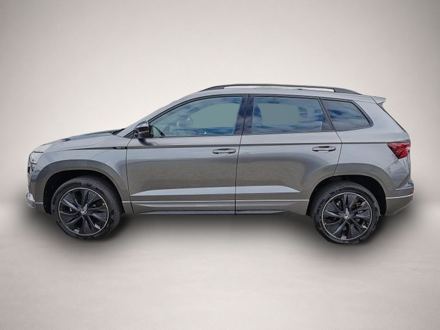 Skoda Karoq (02/2026, Benzin)