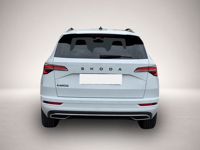 Skoda Karoq (06/2026, Benzin)