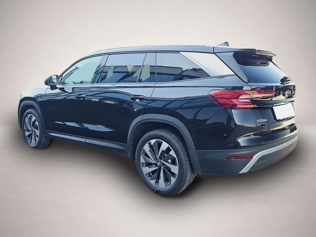 Skoda Kodiaq (02/2026, Diesel)