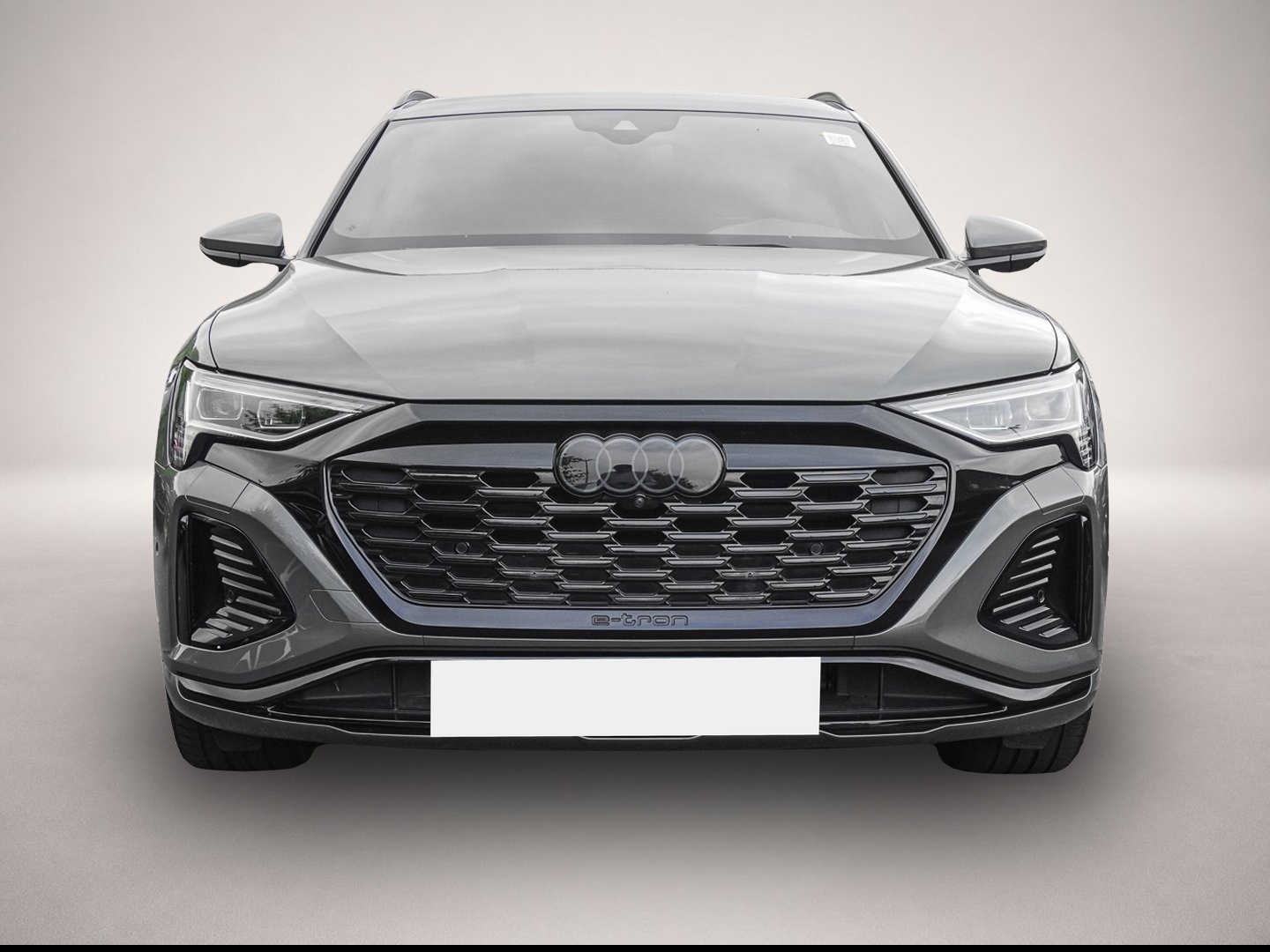 Audi Q8 e-tron (06/2023, ELECTRIC)