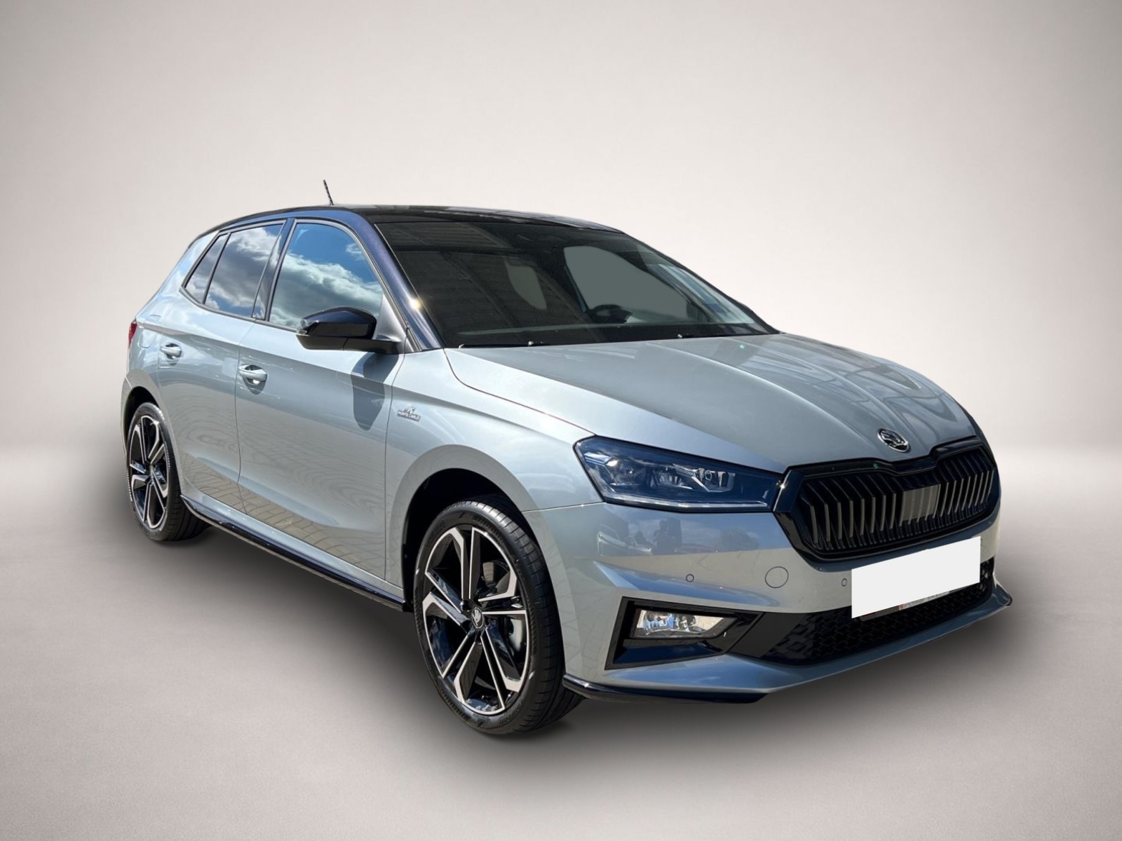 Skoda Fabia (, Benzin)