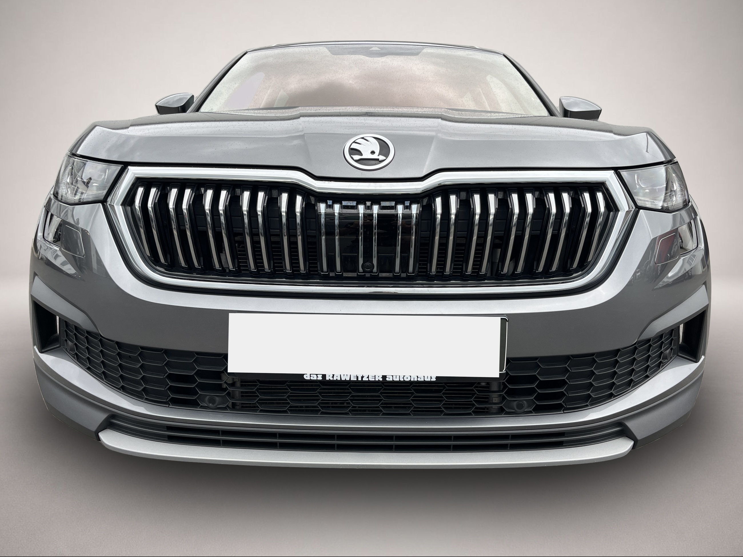 Skoda Kodiaq (02/2023, Diesel)