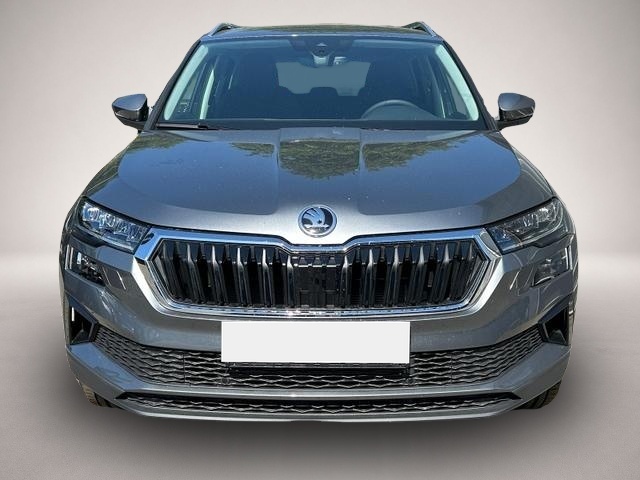 Skoda Karoq (05/2026, Diesel)