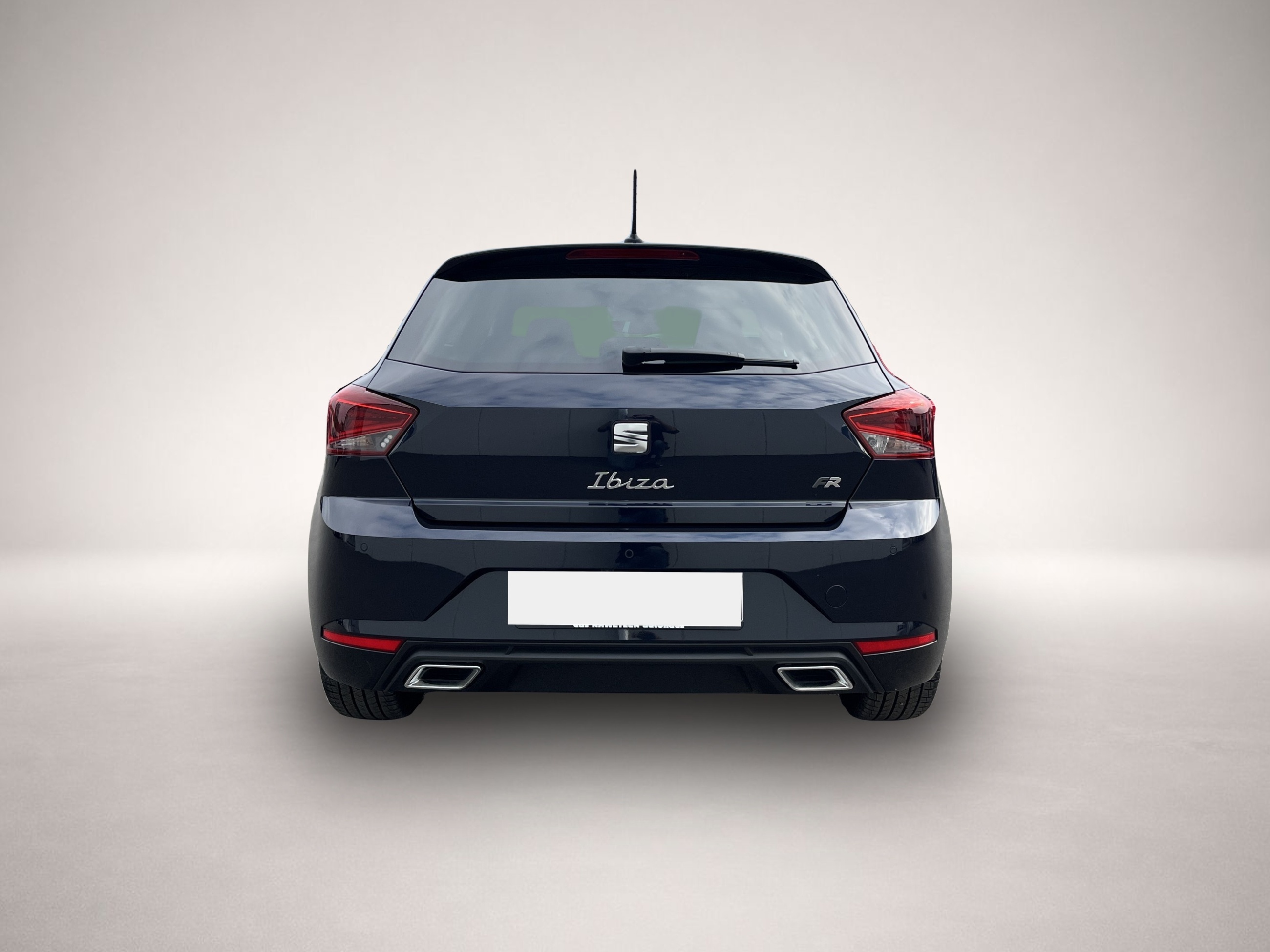 Seat Ibiza (01/2022, Benzin)