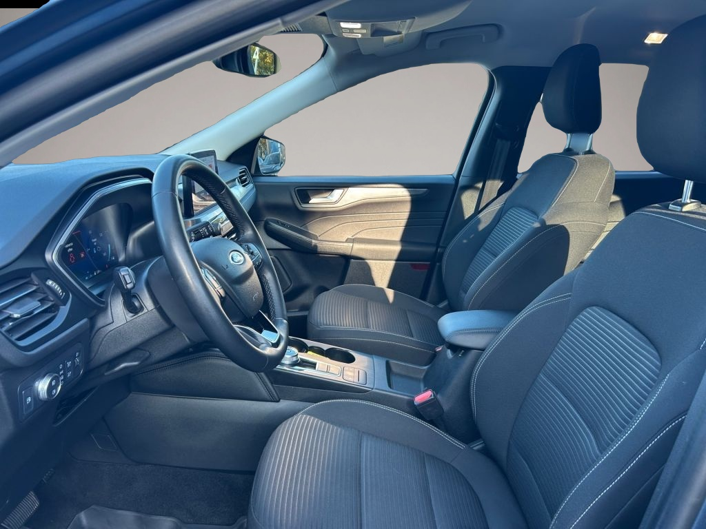 Ford Kuga (10/2022, )