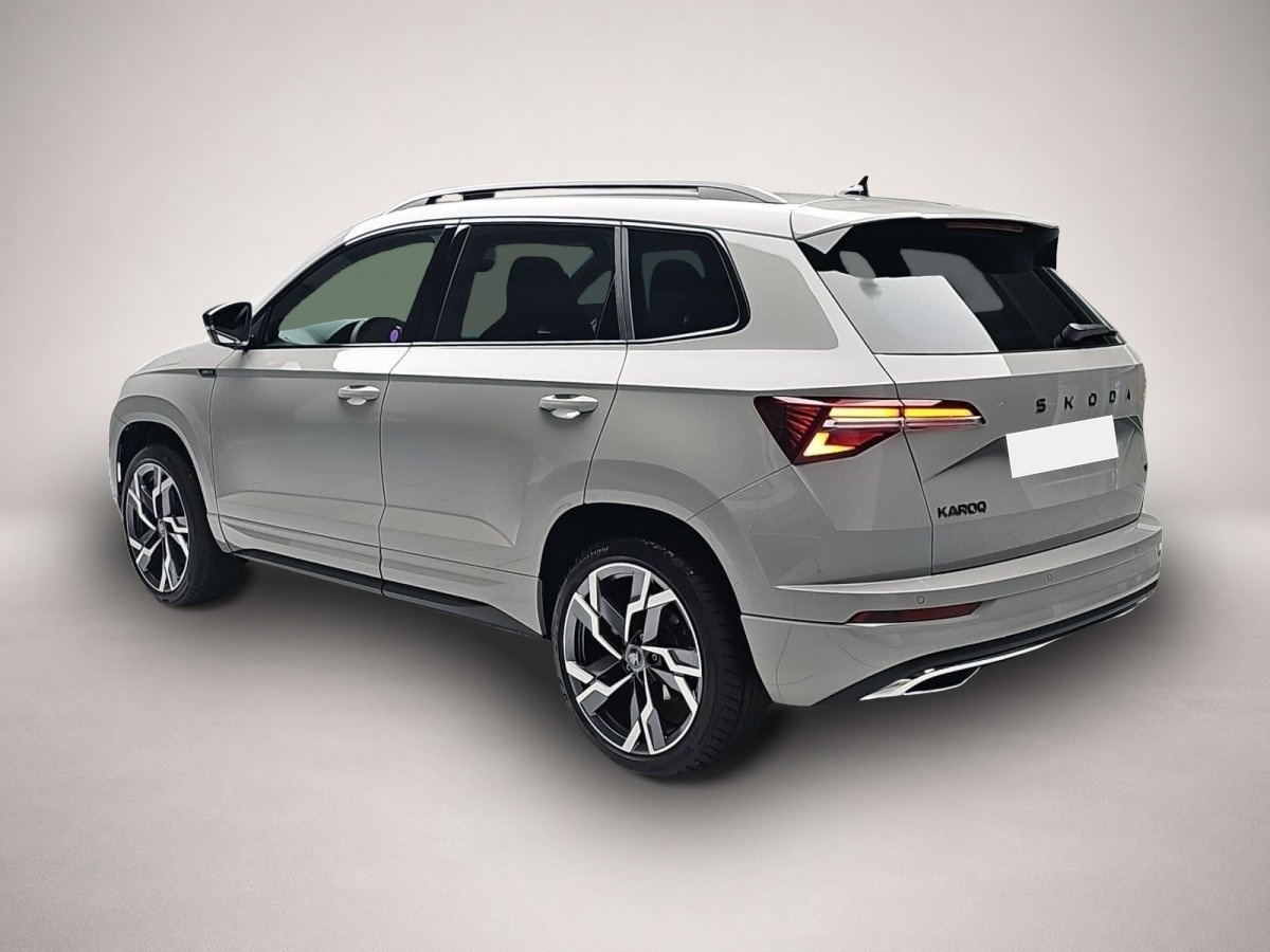 Skoda Karoq (04/2026, Benzin)