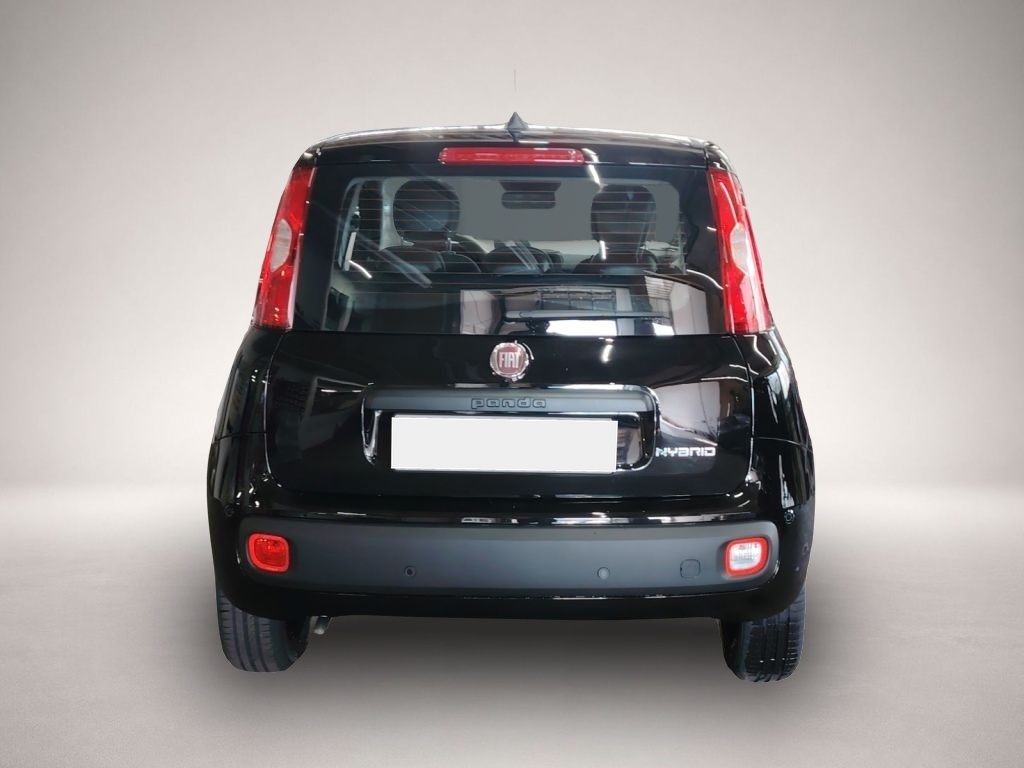 Fiat Other (06/2026, Benzin)