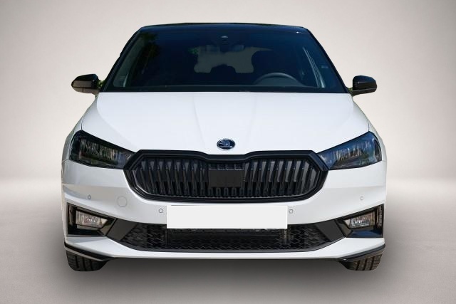 Skoda Fabia (, Benzin)