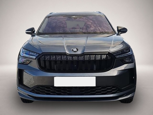 Skoda Kodiaq (03/2026, Benzin)