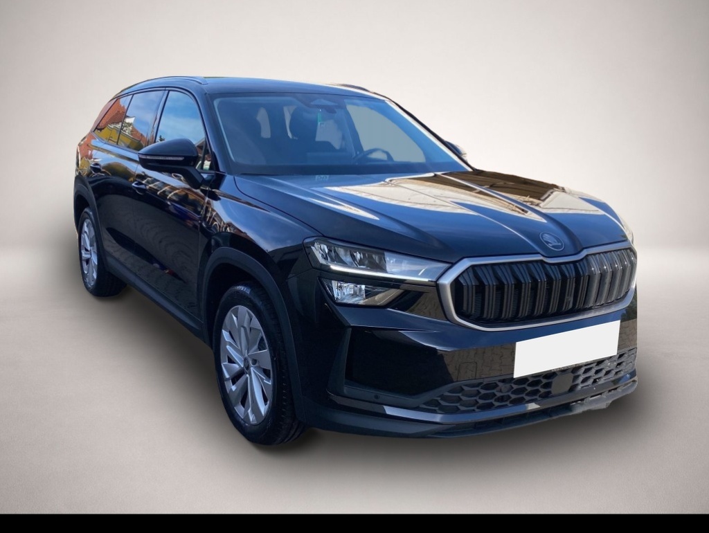 Skoda Kodiaq (04/2025, Benzin)