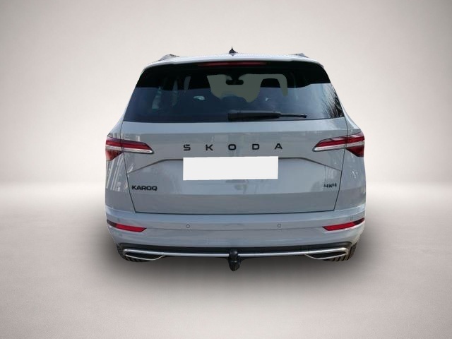 Skoda Karoq (06/2026, Benzin)