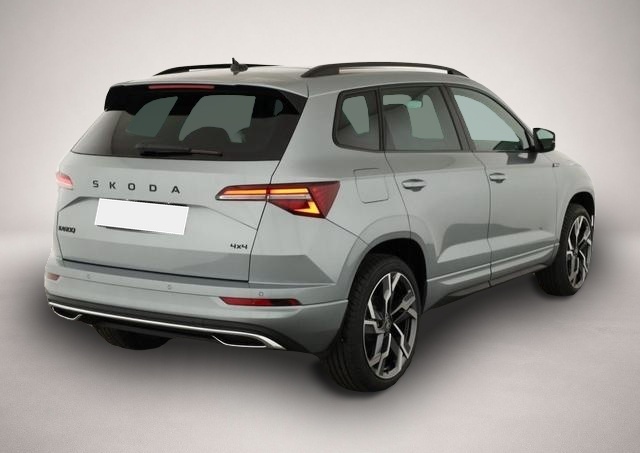 Skoda Karoq (04/2026, Benzin)