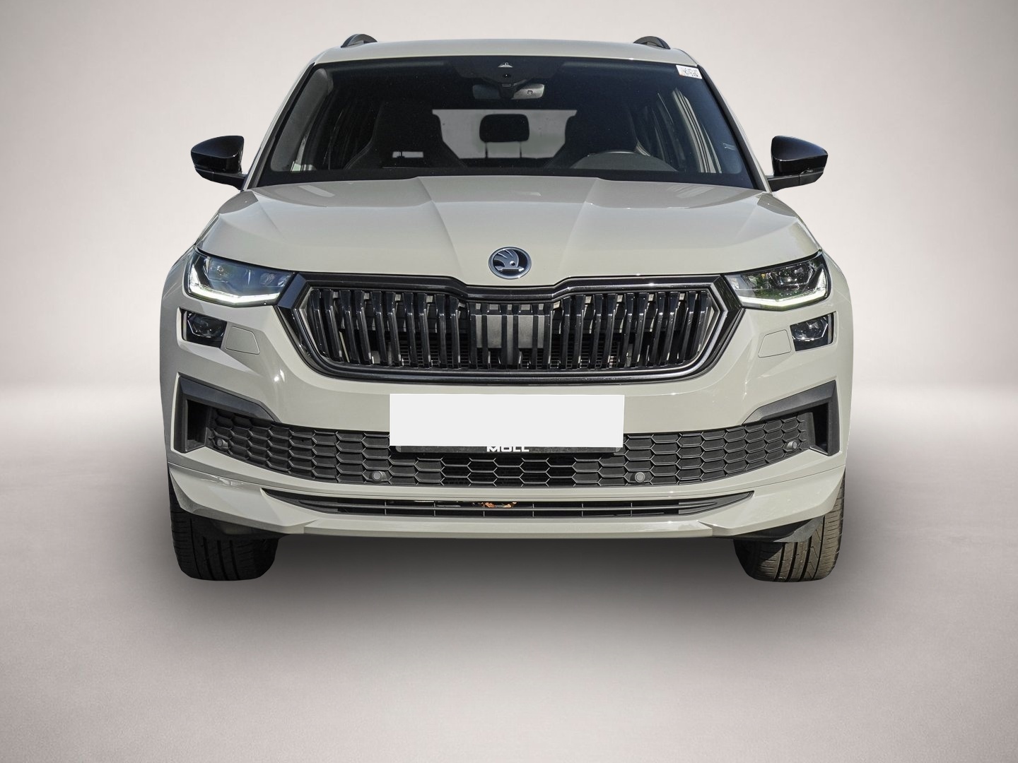 Skoda Kodiaq (05/2024, Benzin)