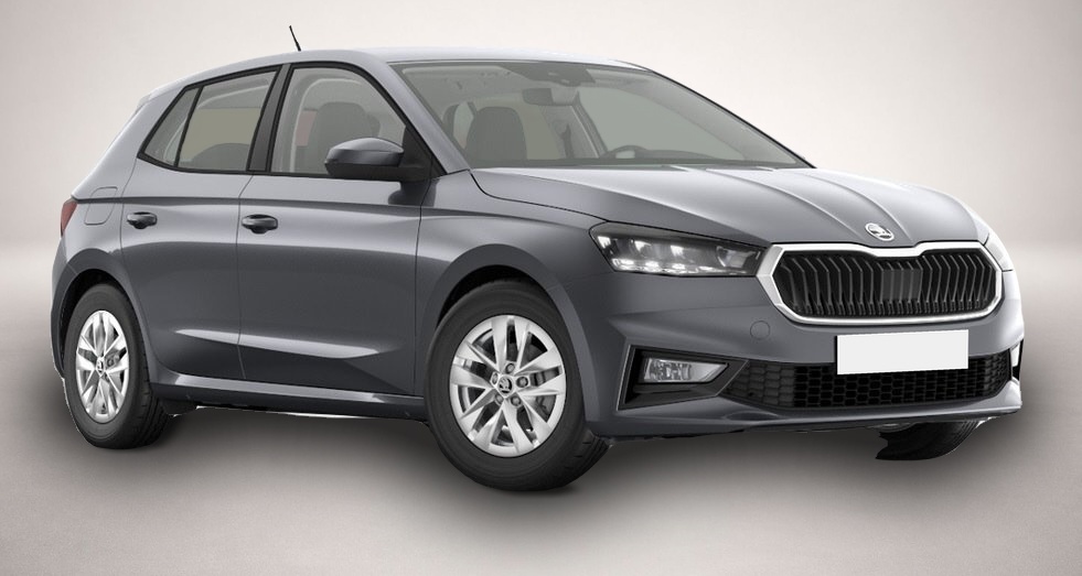 Skoda Fabia (, Benzin)
