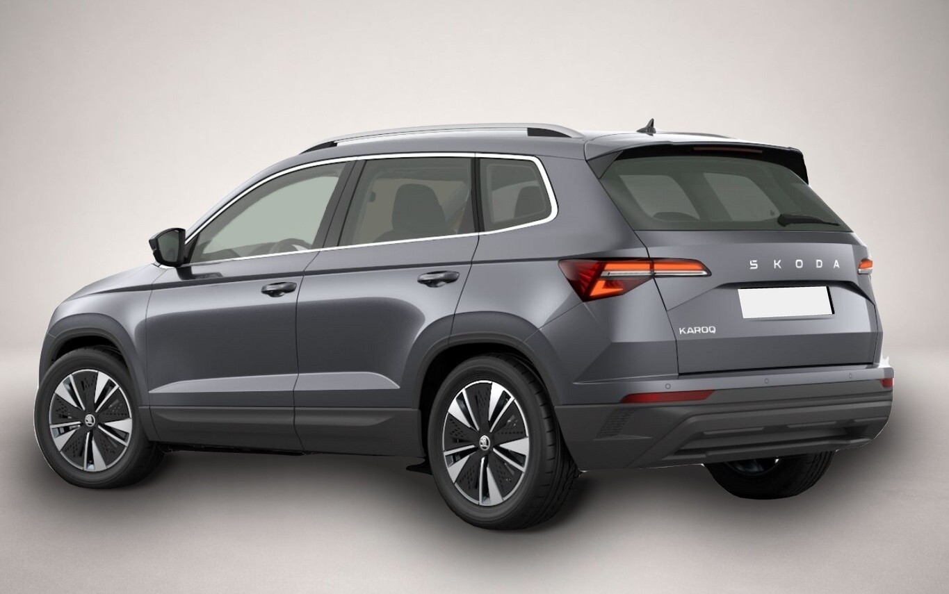 Skoda Karoq (06/2026, Benzin)