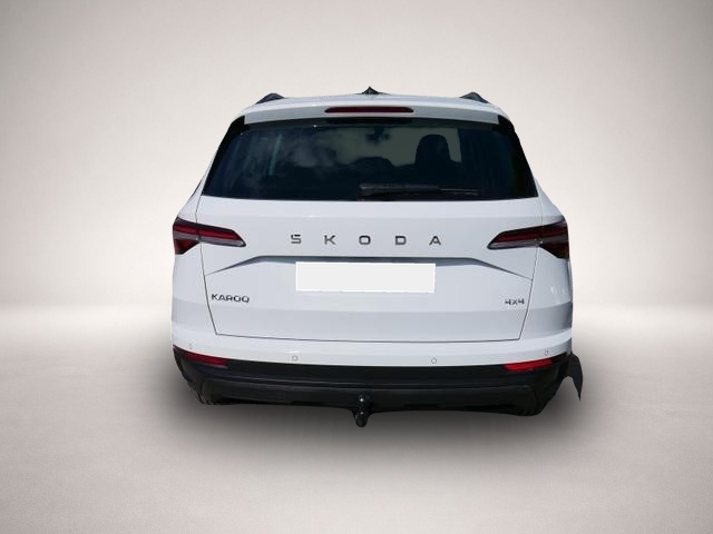 Skoda Karoq (02/2026, Diesel)