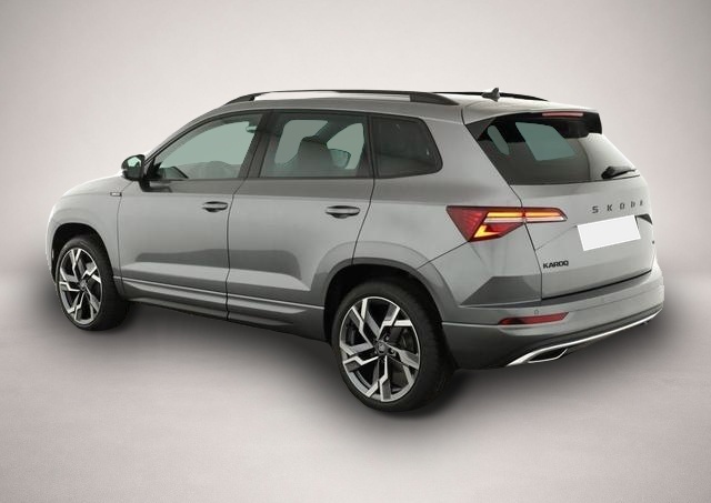 Skoda Karoq (05/2026, Benzin)