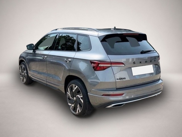 Skoda Karoq (11/2022, )