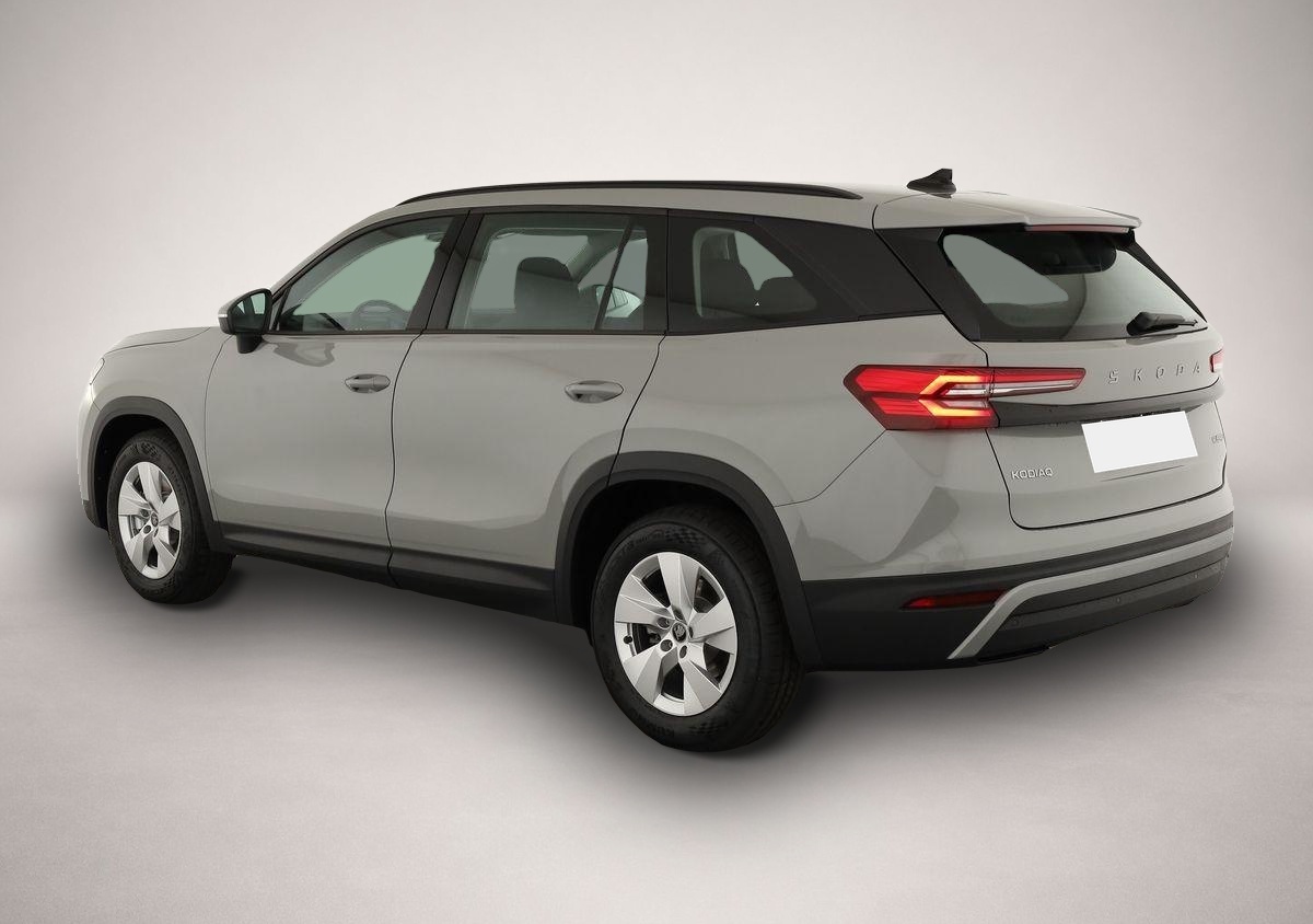 Skoda Kodiaq (06/2026, Benzin)