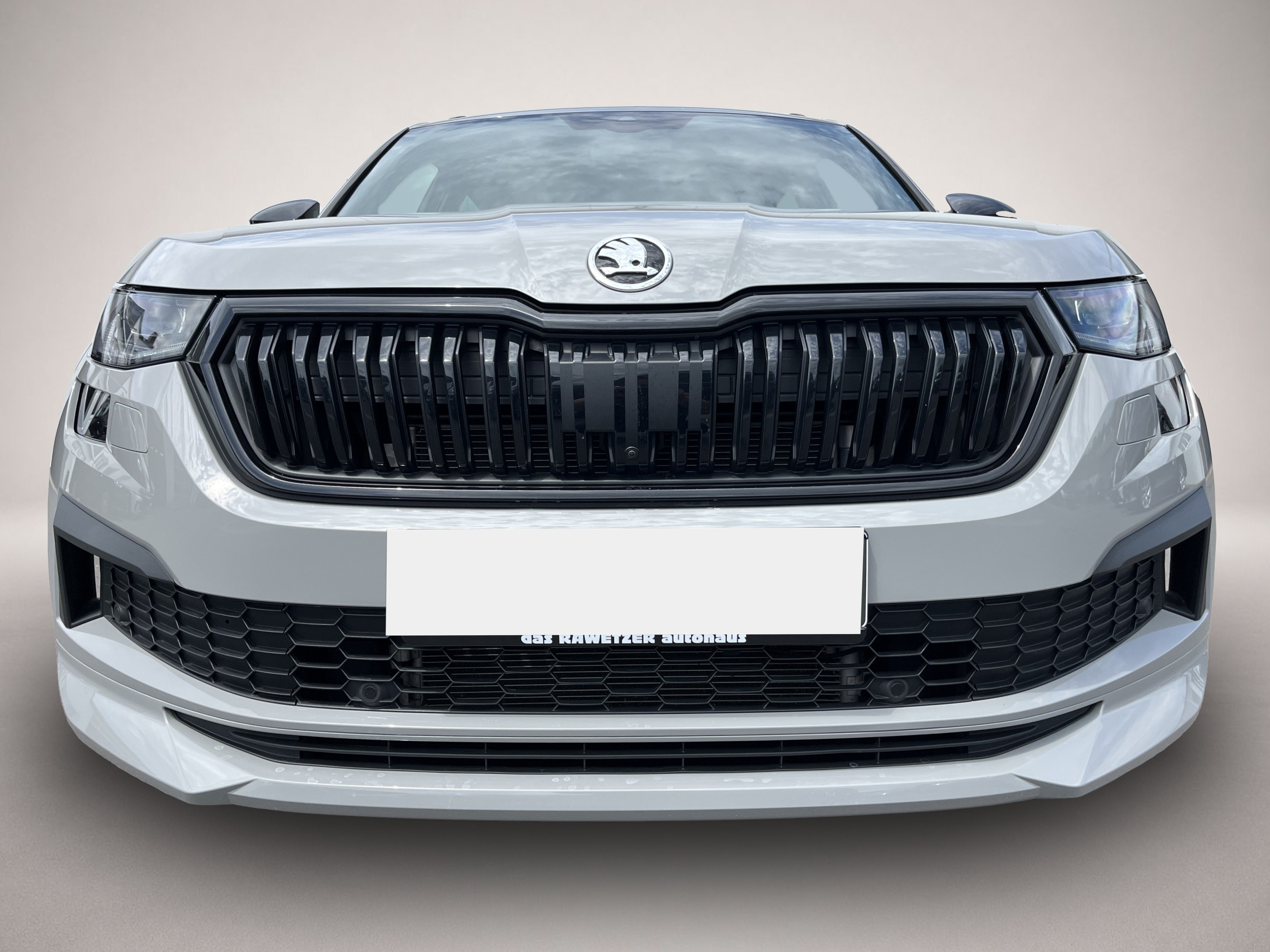 Skoda Kodiaq (02/2022, Benzin)