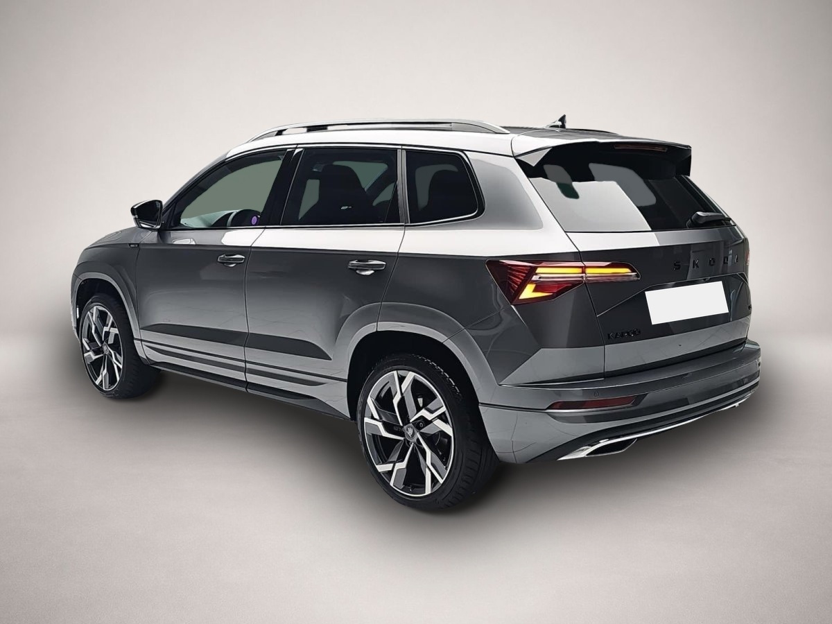 Skoda Karoq, image 3 of 4