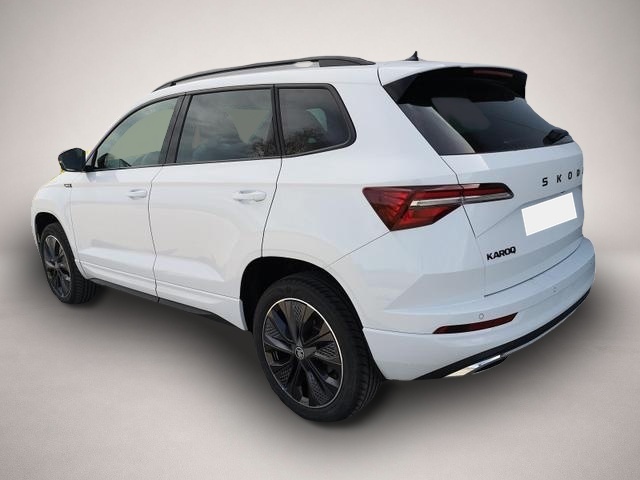 Skoda Karoq (06/2026, Diesel)