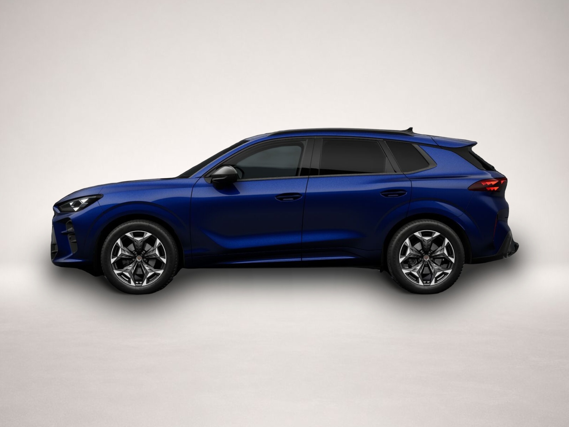 Cupra Terramar (, Benzin)