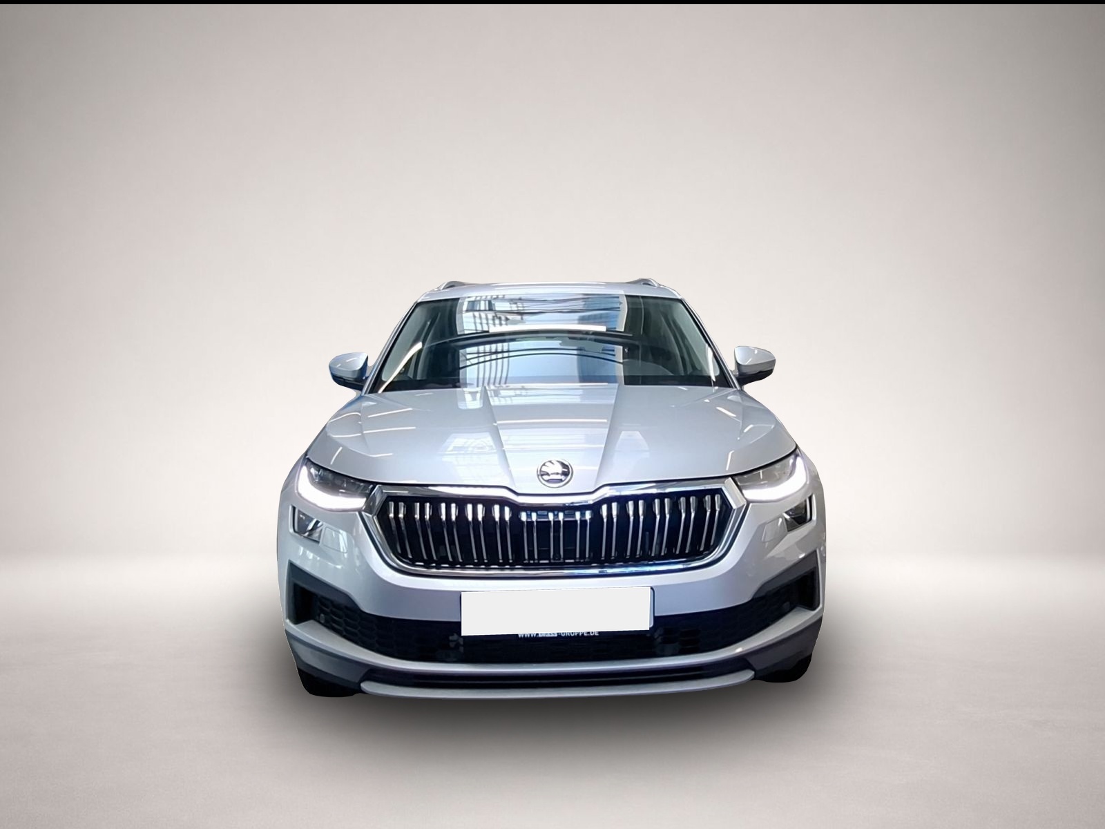 Skoda Kodiaq (02/2023, Diesel)