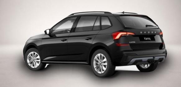 Skoda Kamiq (, Benzin)