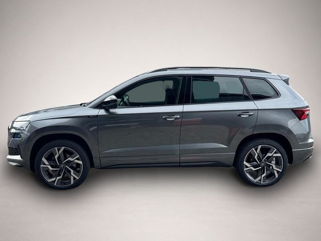 Skoda Karoq (07/2026, Benzin)